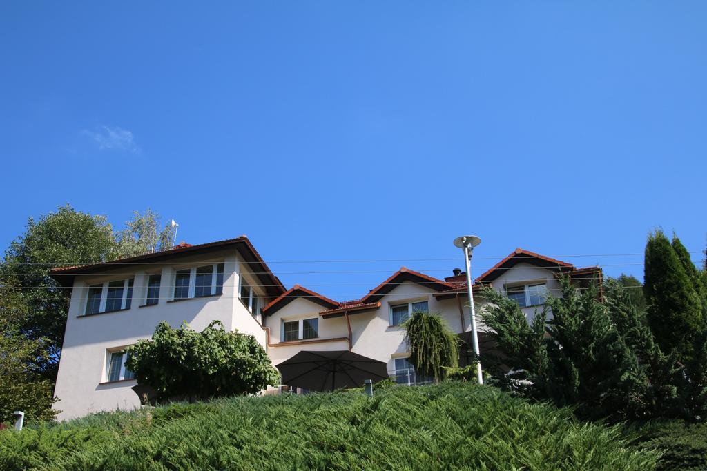 Willa Pod Skrzydlami Hotel Miedzybrodzie Bialskie Exterior photo